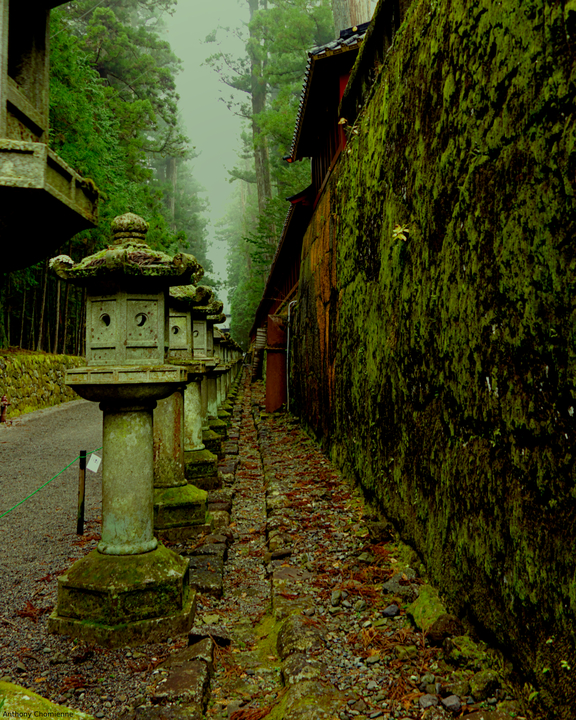 Un alignement de lanternes en pierre en bordure d'un chemin
