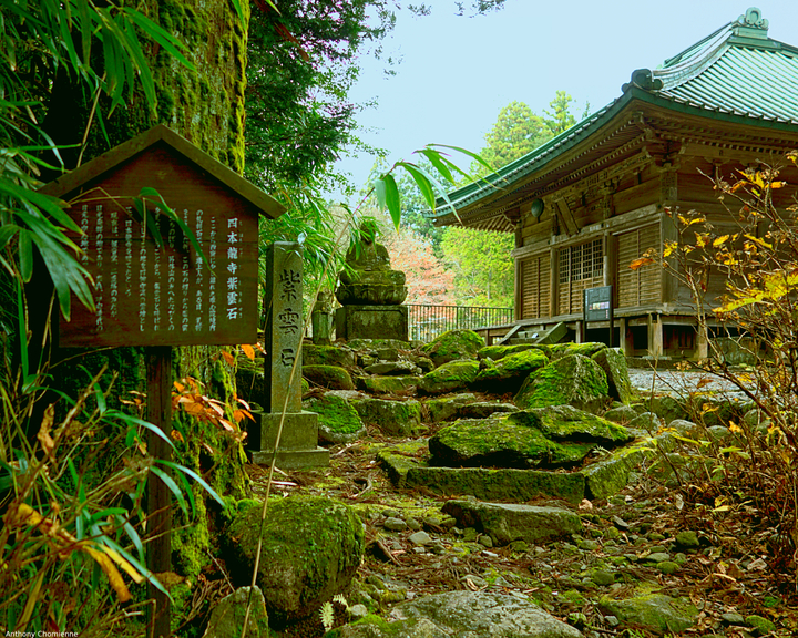 Un temple japonais avec une statue de bouddha, au milieu des arbres