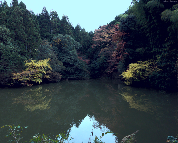 Petit lac au milieu de la montée du Fushimi-Inari