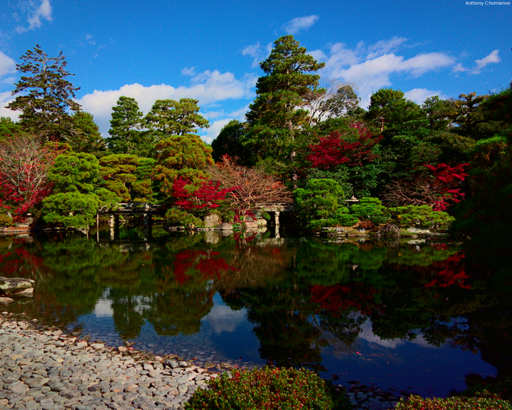 Petit étang au cœur de l'ancien palais impérial de Kyoto