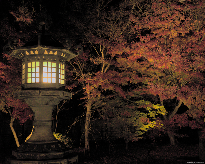 Une lanterne en pierre au milieu d'érables japonais dont les feuilles sont rouge, photo de nuit
