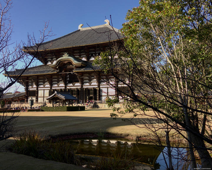 Un temple à Nara vu depuis l'extrémité du parc avec une petite mare dans laquelle il se reflette. Deux arbres au premier plan de chaque côté de la photo