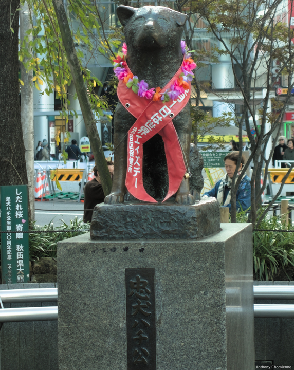 Statue de Hachikō à la sortie de la gare de Shibuya