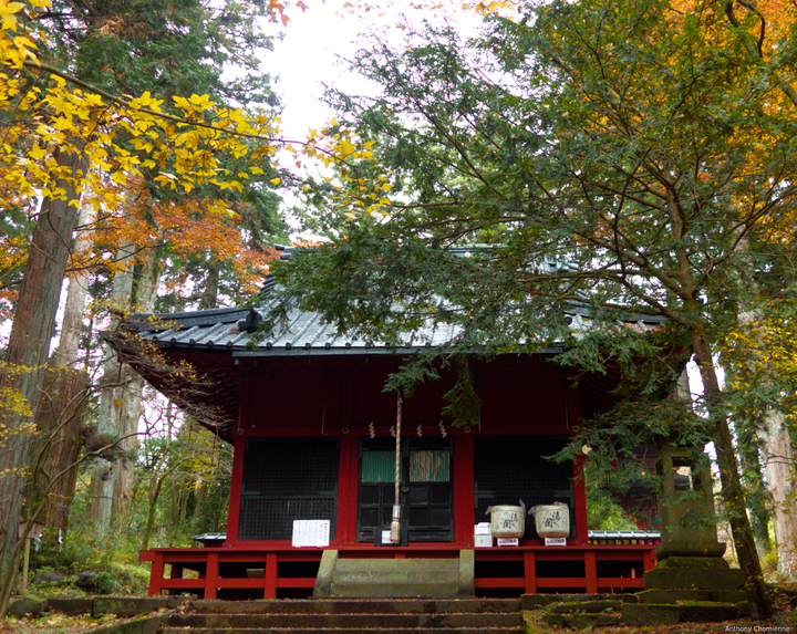Un temple japonais au milieu des arbres avec des tonneaux de saké sur le porche