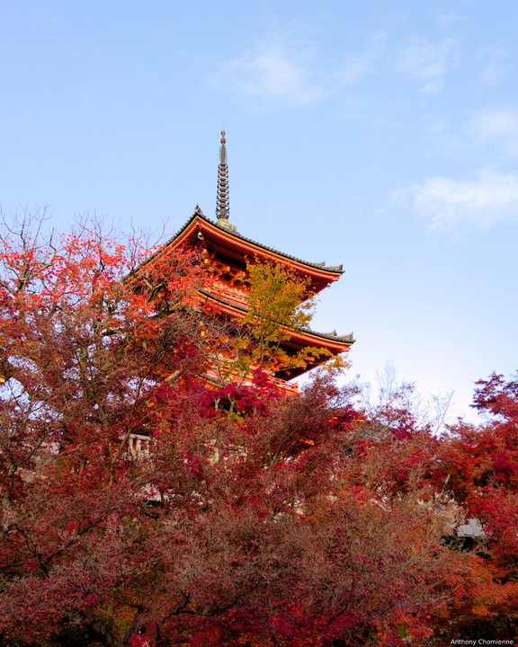 Une pagode que l'on entraperçoit derrière des arbres dont les feuilles rouges se font un peu plus clairsemé