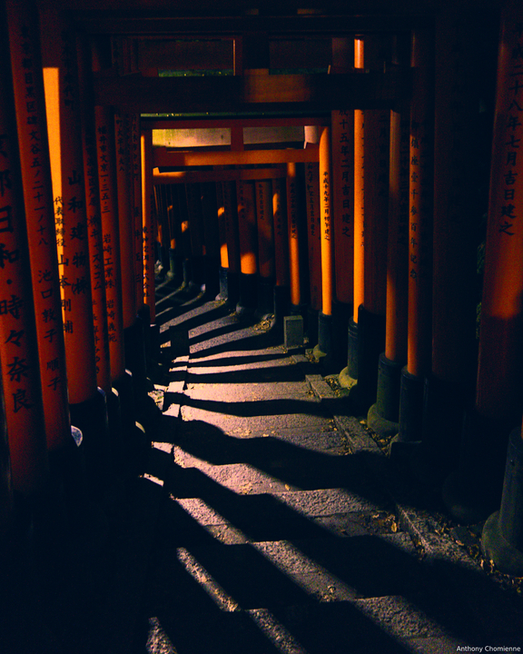 Descente de nuit au milieu des centaines de toriis. La lumière, les marches et les ombres crée une ambiance assez surnaturelle surtout quand tu es seul. La lumière vient de gauche et est haché par les toriis pour formé une alternance de lumière et d'ombre le long du chemin