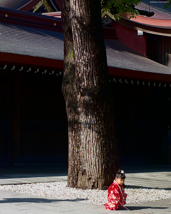 Une enfant en yukata rouge joue avec un bout de bois au pied d'un grand arbre au coeur du temple Meiji-Jingu