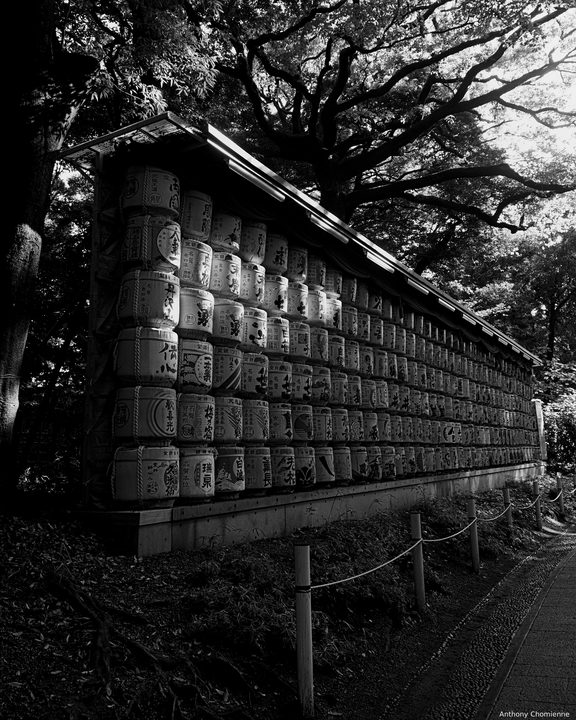 Des dizaines de fût de saké empilé aux abords du Meiji-Jingu